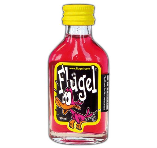 flugel-flesjes