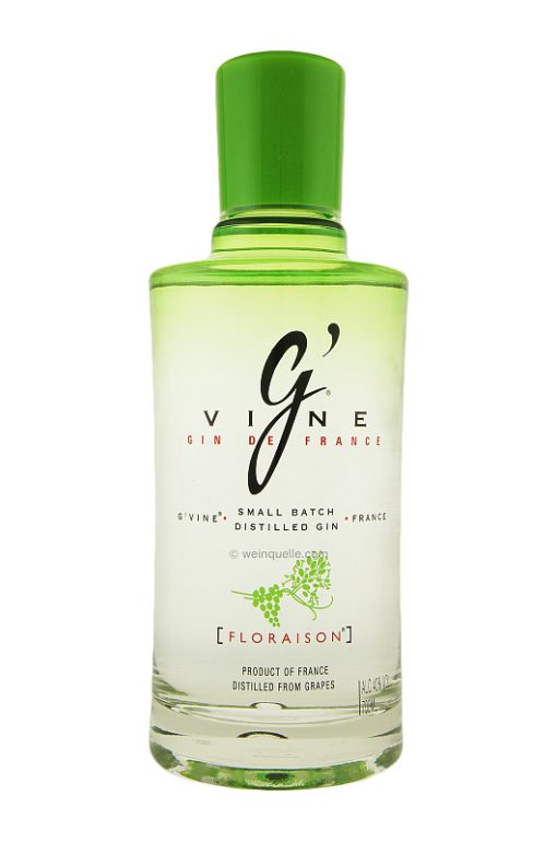 Gvine-Floraison-Gin