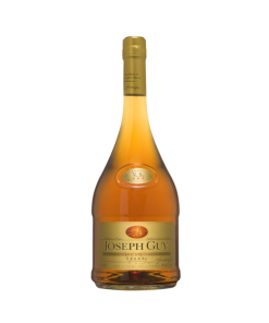 Joseph-Guy-VS-100CL