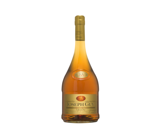 Joseph-Guy-VS-100CL