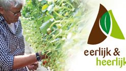Fairtrade-koffie