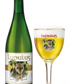 Lupulus-Tripel-Bier-75cl