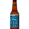 brewdog-punk-ipa-bier-flesjes