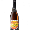 kasteelbier-tripel-fles-75cl