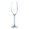 Champagne-Glazen-17cl
