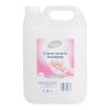 handzeep-vloeibaar-5-liter-isabel