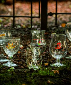 speciaalbier-glas-bekende-bierglazen-pakket