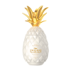 Piñaq Colada White Likeur 1 Liter – Tropische kokos-ananas likeur