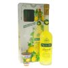 pallini-limoncello