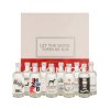 The-gin-box-10x5cl