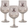 Karmeliet Bierglas 25cl Doos 3 Stuks Speciaalbierglazen