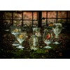 Bekende Speciaalbier Glazen Assortiment Pakket 6  Verschillende Bierglazen in 1 doos! LEUK CADEAU!